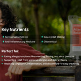 Allergy Relief IV Drip