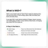 NAD+ IV Drip at Home